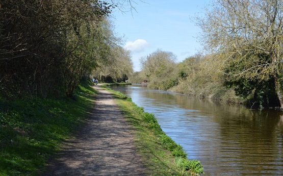 Chichester canal
