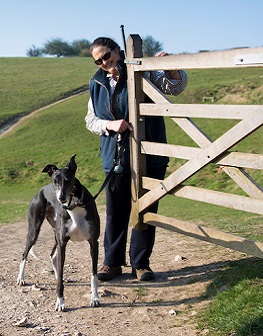 Dog walks in West Sussex