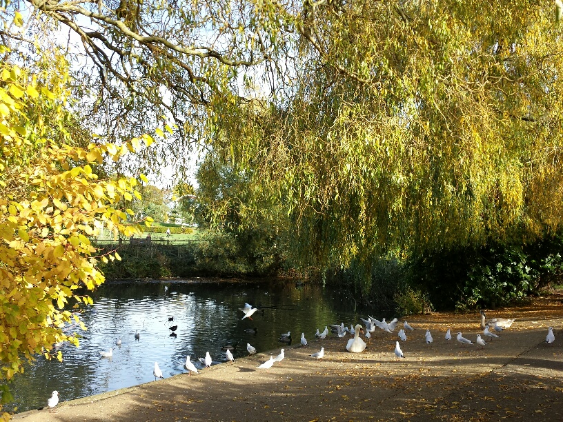 Horsham Park Lake