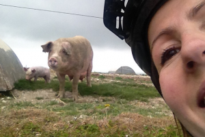 Cyclist taking a selfie with a pig