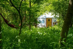Plush Tents Glamping accommodation through the green trees and grasses