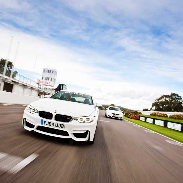 Cars racing on the track at Goodwood