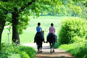 Two horse riders riding down countryside lane