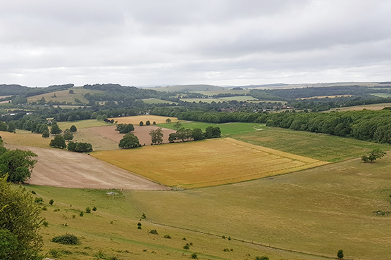 Views from Cissbury Ring