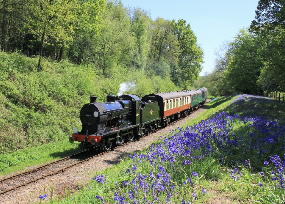 Bluebell railway in spring