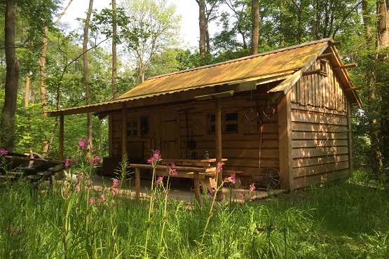 A wood cabin at Forest Garden Shovelstrode eco glamping
