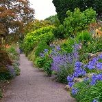 Borde Hill garden path