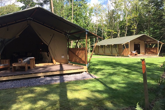 Front view of the safari lodges at Worth Forest Glamping