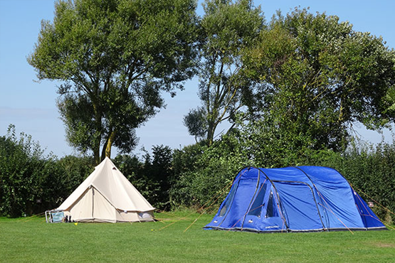 Tent pitches at Stubcroft Farm