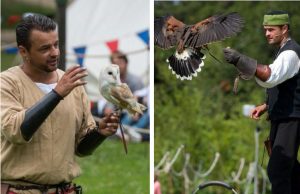 Two men showing an owl and hawk to a crowd