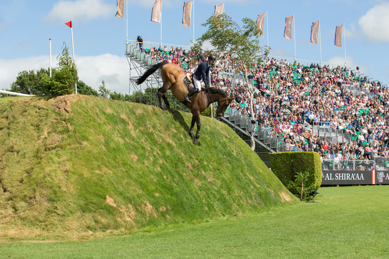A horse jumping at the Hickstead International Showjumping