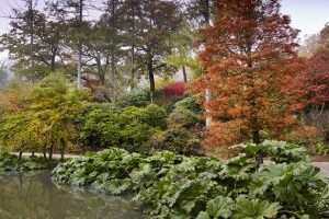 Leonardslee Lake and Gardens in autumn