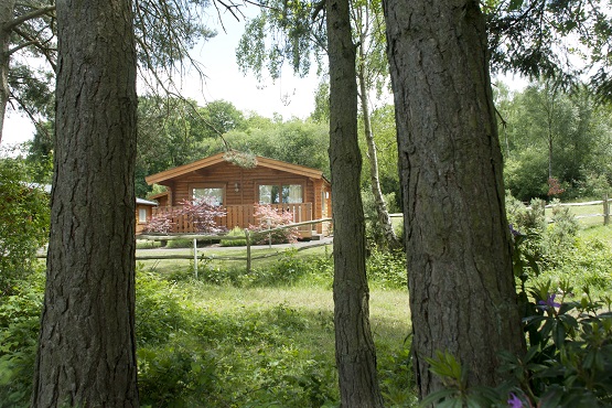 Woodland image of Cottesmore Lodges