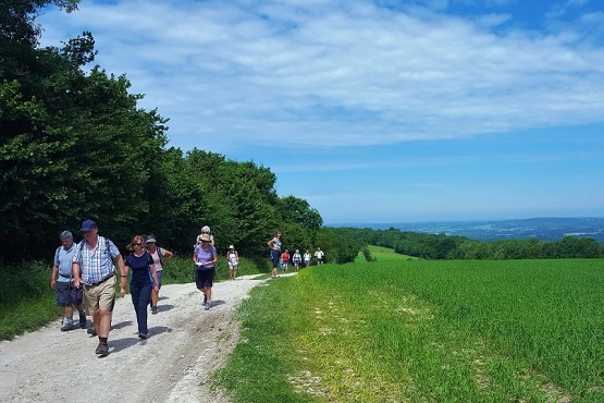 Group of people taking part in the South Downs Way Annual Walk