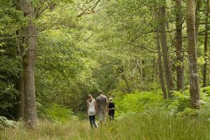 Family walking through tall trees and long grass at Ebernoe Common Nature Reserve