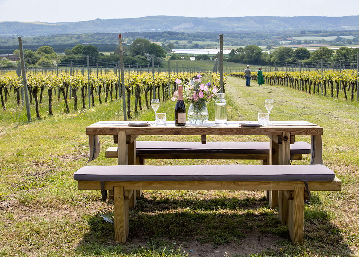 Bench at Roebuck Estates in Petworth overlooking the vineyard