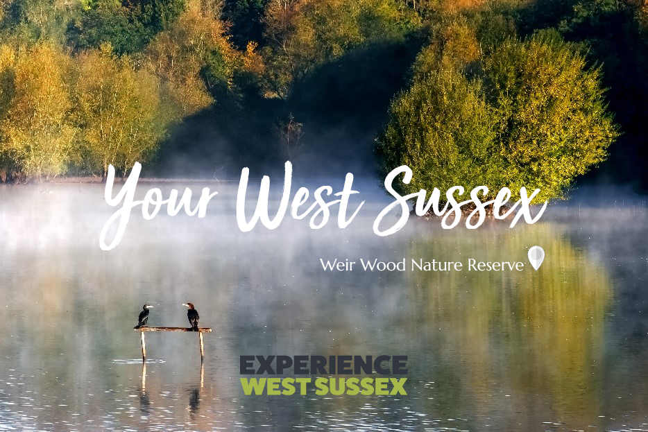 Your West Sussex - Weir Wood Nature Reserve