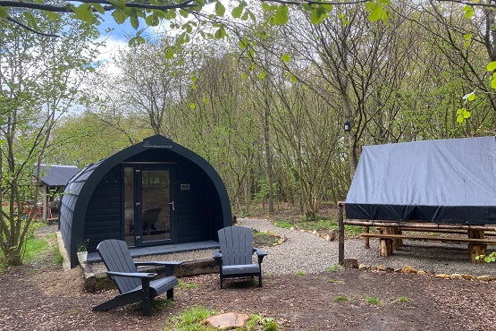 Hazelbank Farm's accommodation pod pictured in the woodland setting