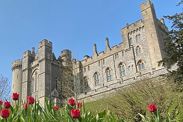 Arundel Castle with tulips