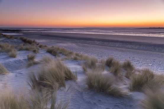 Sand dunes on a beach