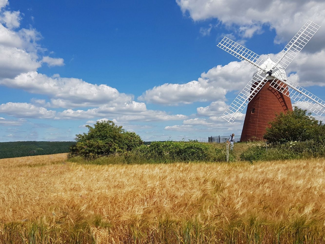 West Sussex Windmill