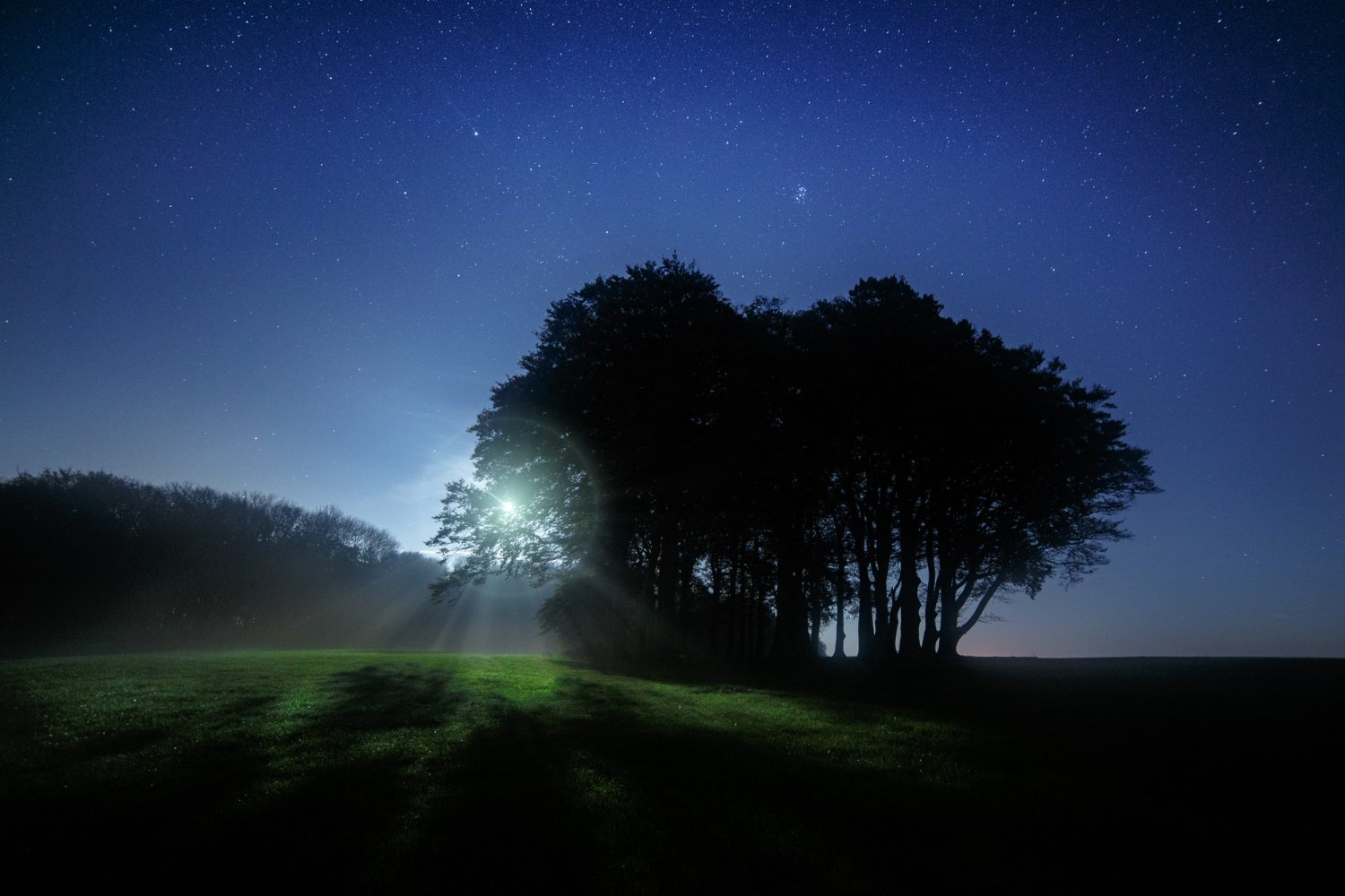 South Downs National Park tree and night sky stars