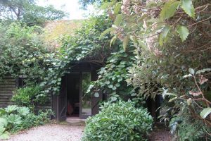 Cottage hidden within foliage