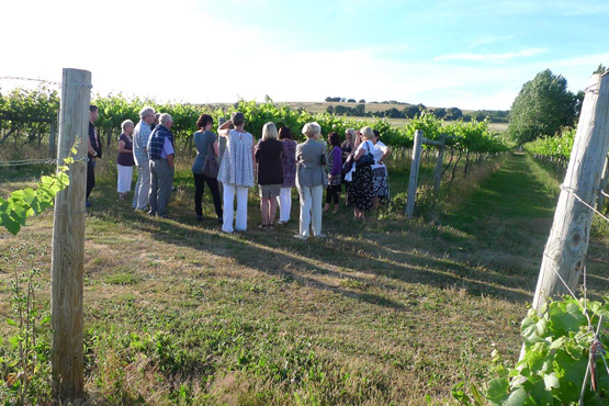 A group of visitors on a tour at Highdown Vineyard