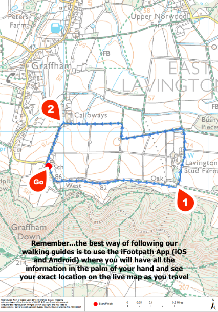Walking Route Graffam and Lavington Park Map