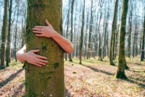 a person hugging a tree