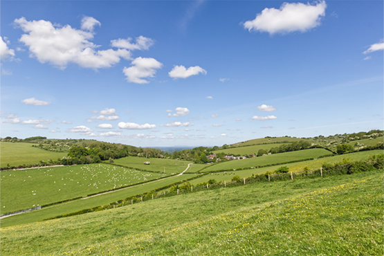 Spring view of Saddlescombe Farm and Newtimber Hill in spring